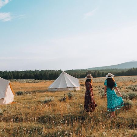 Wander Camp Yellowstone Hotel Island Park Eksteriør billede